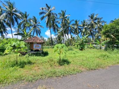 Tanah siap bangun lokasi strategis di depan KUA / Balai Nikah Kalipuro Banyuwangi