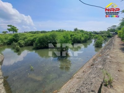 dijual tambak di karangrejo banyuwangi