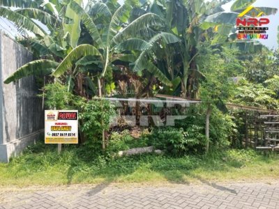 tanah dijual di banyuwangi baru4