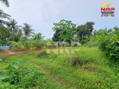 dijual tanah di dadapan kabat banyuwangi kapling 151 m2