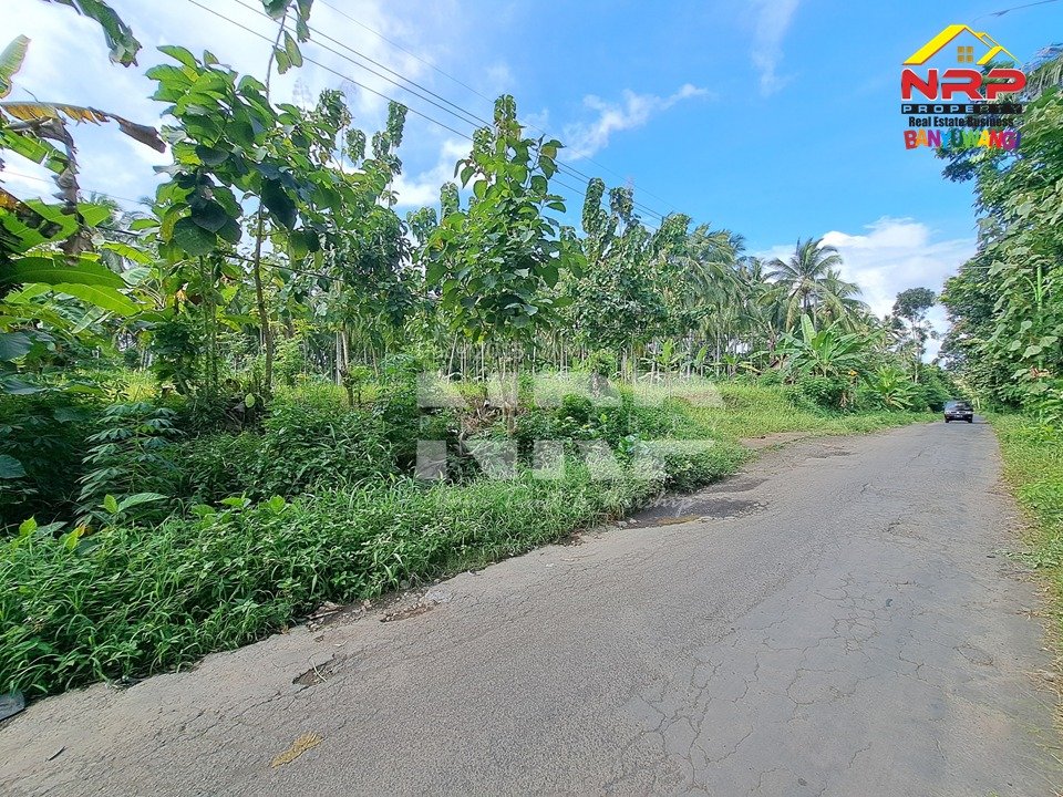 Dijual Tanah Kebun Jati Tepi Jalan Desa Kelir – Banyuwangi, SHM Luas 1.122 m²