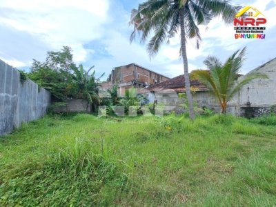 dijual tanah di ketapang banyuwangi