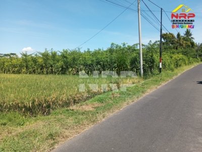 sawah dijual di banyuwangi