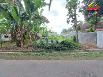 tanah dijual di dadapan banyuwangi