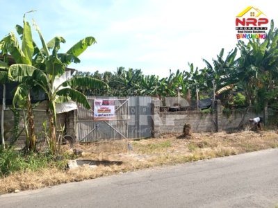 Dijual Tanah Kering Strategis 500 Meter dari Jl. Utama Dadapan - Banyuwangi