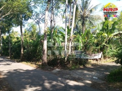 Dijual Tanah Kebun Strategis di Sumberejo Banyuwangi – Dekat Satpas Polresta, Akses Jalan Aspal, SHM