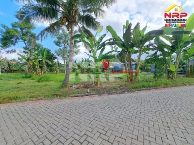 Tanah Murah Dijual di Sobo Banyuwangi