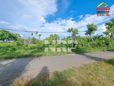 dijual tanah dekat tambak di banyuwangi kertosari