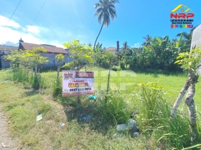 dijual tanah di ketapag banyuwangi pak didik4
