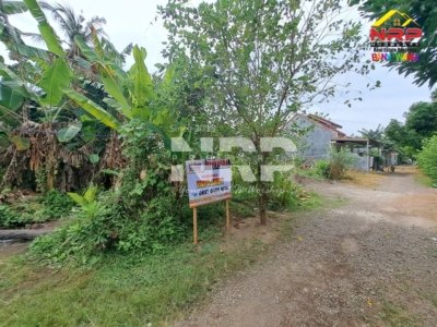 tanah dijual di banyuwangi kota sobo GTA