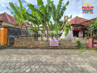 tanah dijual di glagah banyuwangi