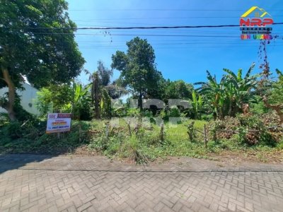 tanah dijual banyuwangi