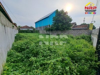 tanah dijual di banyuwangi singotrunan