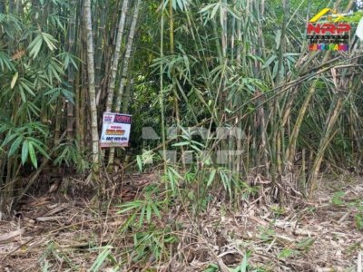 Dijual Tanah Murah di Tegalsari Banyuwangi