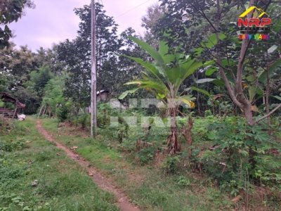 Dijual Tanah Strategis di Bulusan, Ketapang – Banyuwangi