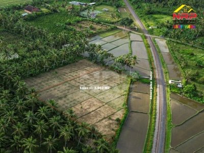 tanah sawah dijual di Banyuwangi Kedayunan