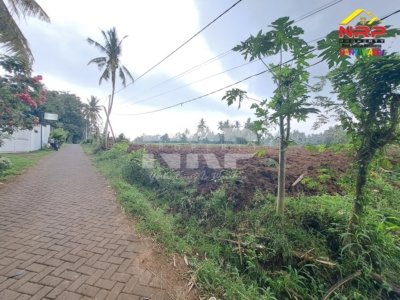 tanah sawah dijual di Banyuwangi Olehsari