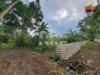 Jual Tanah Sawah di Jambesari Banyuwangi