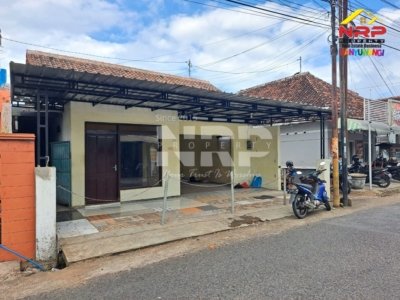 Kontrakan Banyuwangi