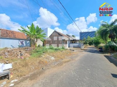 dijual tanah di banyuwangi dadapan kabat