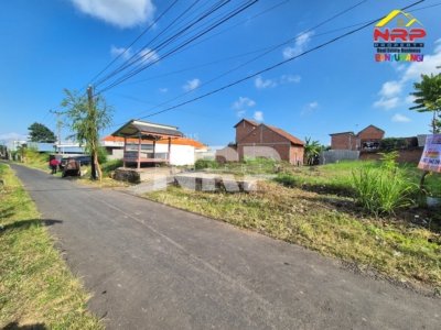 jual tanah di banyuwangi