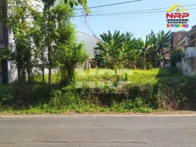 dijual tanah murah banyuwangi