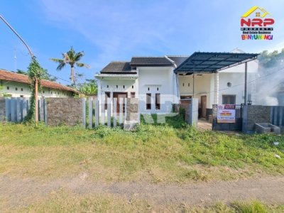 jual rumah mendut banyuwangi
