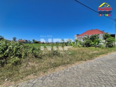 harga tanah banyuwangi