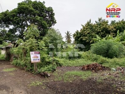 tanah kebun rumah dijual di banyuwangi facebook