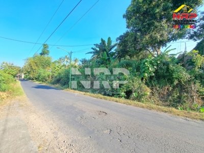 tanah dijual di kalipuro banyuwangi