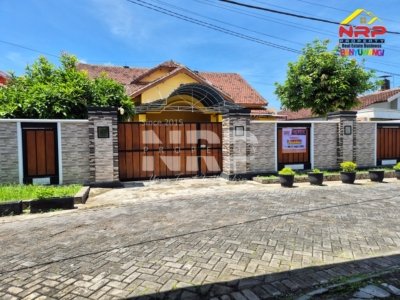 Dijual Rumah Luas Strategis di Jl. Agus Salim Banyuwangi – Lingkungan Asri, Harga Menarik