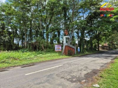 Dijual Tanah Kavling Strategis di Karangbendo Banyuwangi – Dekat Bandara & Kampus Poliwangi