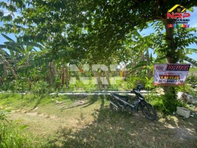 INVESTASI TANAH STRATEGIS – KEBALENAN, BANYUWANGI