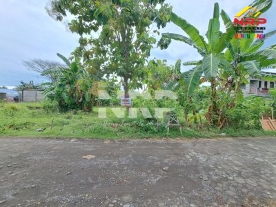 🔥 Dijual Tanah Siap Bangun di Ketapang – Banyuwangi