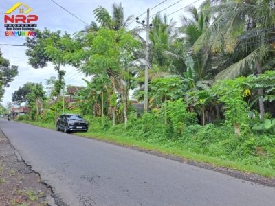 dijual tanah dadapan 7 ribu meter4