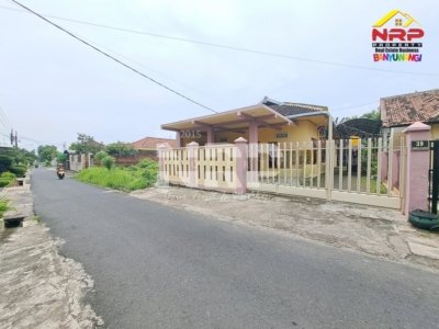 🏡 DIJUAL RUMAH LUAS & STRATEGIS – TAMANBARU, BANYUWANGI