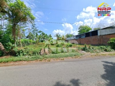 Dijual Tanah Strategis di Barat Kantor Bupati Banyuwangi Terletak di Jl. Terusan Borobudur Sangat Cocok untuk Rumah Kos Pegawai, Home Stay, Hunian Pribadi dan Ruang Usaha Lainnya. Orientasi Tanah Hadap Utara LUAS TANAH : 600 m2 Dimensi +/- 20x30 Meter Sertipikat Hak Milik PRICE 1,7 MILYAR NEGO !! Exclusive Location : Barat Kantor Pemda Banyuwangi Dekat Dengan Fasilitas PerBankkan Dekat Dengan Fasilitas Perbelanjaan ( Roxy Mall, Vionata Supermarket, Ramayana Mall ) Dekat Dengan Fasilitas Pendidikan ( STIKOM, UNTAG, SMPN 1 Banyuwangi ) Dekat Dengan Sentra Bisnis, Pertokoan, Perkantoran dan Sentra Kuliner Dekat Dengan Fasilitas Kesehatan
