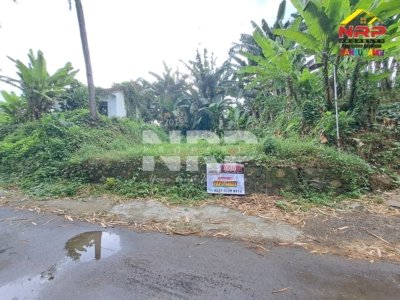 tanah kalirejo depan fatimah sadikun4