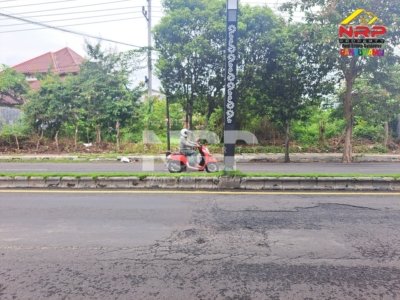 ✨ Tanah Disewakan – Jl. Gajah Mada, Banyuwangi ✨
