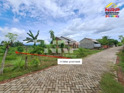 DIJUAL TANAH 1 HEKTAR DI KALIREJO BANYUWANGI