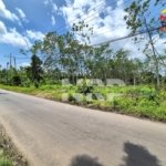 Harga Tanah per Meter di Banyuwangi Kota