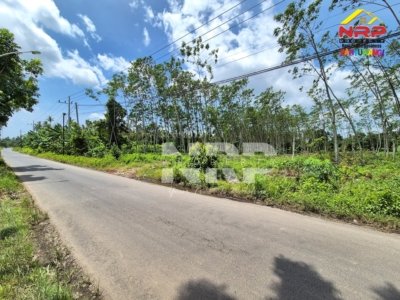 Tanah Murah Dijual 3 Hektar di Pakistaji Banyuwangi – SHM, Lokasi Strategis