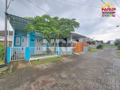 rumah sewa bunga full furniture banyuwangi kota