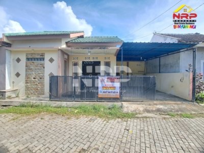 Rumah Dijual di Ketapang Banyuwangi Dekat PT INKA – Strategis & Potensial