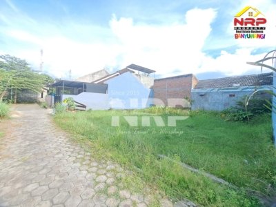 Dijual Tanah Strategis Dekat Pelabuhan Ketapang Banyuwangi – Area Industri & Investasi Prospektif