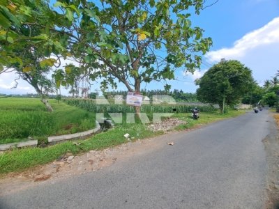 Dijual Tanah Luas Sobo Banyuwangi Tepi Jalan – Cocok Sawah & Pertanian