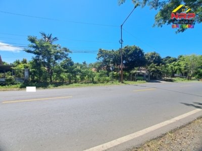 Dijual Tanah Murah Siap Bangun Tepi Jalan Provinsi Wongsorejo Banyuwangi Cocok Gudang & Ruko