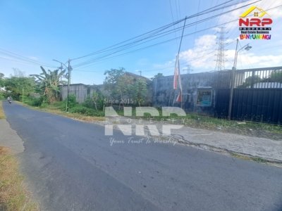 gudang exs pabrik sengon kelir kalipuro banyuwangi15
