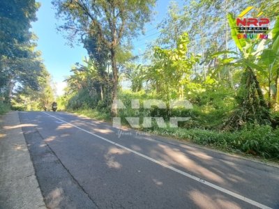 Dijual Tanah 2 Hektar Pinggir Jalan Raya Paspan Glagah Banyuwangi