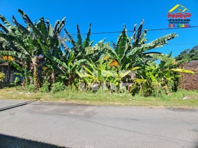 Dijual Tanah 400 M2 Siap Bangun di Tamanbaru Banyuwangi